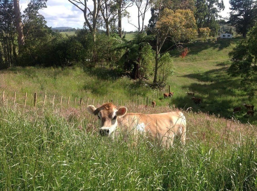 Rolling Hills Country Stay B&B Tauranga Bagian luar foto